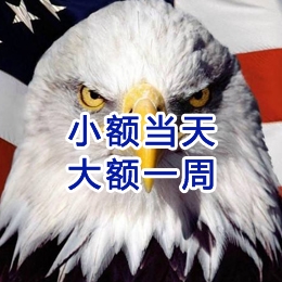 陆河要账公司